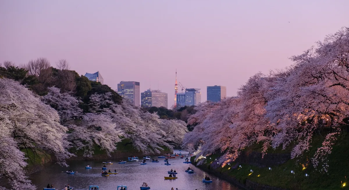 抹茶甜點和日式點心